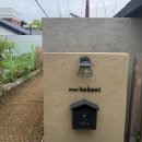 스테이코코니