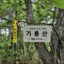 기룡