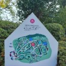 2만원의 관람료가 아깝지 않은 더마파크 기마공연 후기, 오설록, 용머리해안, 카멜리아 힐