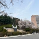 진안군기초푸드마켓 | 국민대 기업경영학부 1학년 1학기 종강 후기 : 슬기로운 학교생활 (성적/과목추천/축제/벚꽃)