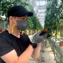 효진팜2 이미지