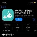 한국동물병원 | [펫트라슈-동물병원진료]동물병원 이용전 필수확인! 동물병원 후기&amp;추천
