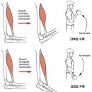 오리필라테스