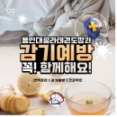 용인대 스타태권도장 이미지