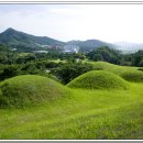 효심 태양광발전소 이미지