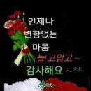 행복한사과나무 이미지