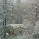 참살이힐링 펜션 이미지