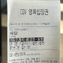 물보라 | [20240325~31] : 일주일 미뤄진 벚꽃축제 구경하러 경주 고!