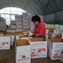 재선농장 이미지