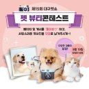 뷰티펫 이미지