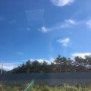 소금강여울목펜션 이미지