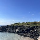 코난비치 이미지