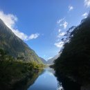 대자연 | 4일 동안의 대자연 속 밀포드 사운드 트레킹 후기(스압주의)