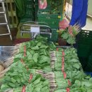 동중농장 이미지