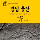 시티투어(CITYTOUR)