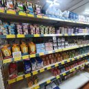 대명동 강아지 이미지