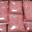 스타애견 이미지