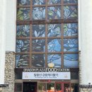 육백마지기 | 강원도 당일치기 여행, 발왕산 케이블카 스카이 워크 만족, 육백마지기 실망 후기