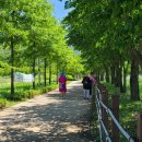 물안개공원 이미지