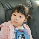 [덕산]우리 회장님 물에 발을 담구었어요!이곳이 워터파크란다!덕산리솜워터파크!