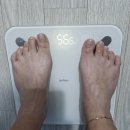 올 | 하버드다이어트 덱시올 후기, 진짜 효과 있었을까?