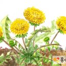 창의미술3 이미지