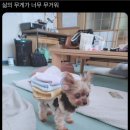 무재개패션 | ep.214 요즘 날씨 정말 .. 따뜻한 프라푸치노 | 일상블로그