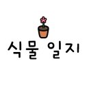 매직패션