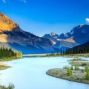 온천자미정 이미지