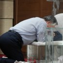 꿈이 있는 곳 이미지