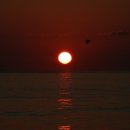 월포해수욕장 이미지