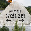 유전2리 이미지