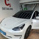 퍼피당강아지 안산본점 | [디테일링] 안산 스팀 세차 전문점 테슬라 모델3 실내외 디테일링! 실내 강아지털 제거 후기