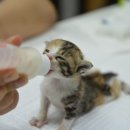 서교동 주민센터 이미지