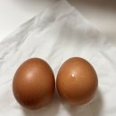 이마트24에스경대병원점 | 2026년 6월 둘째주 기록 (직장인 일상,저녁 산책,노을 맛집,정담다,생일 선물 언박싱,친구숯불닭갈비...