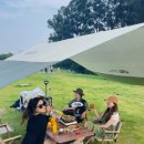 천천면비룡와룡휴양림 | 전라북도 운영 자연 휴양림 공공 캠핑장 접수일과 신청 방법(반려견 출입)