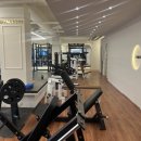 짐프로 피트니스 | [짐프로] 군포 헬스장 - 번지휘트니스 수업 리뷰