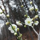 산중농원 이미지