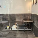 스퀘어독스 펫 이미지