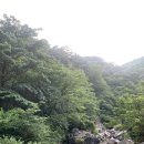 사나사(사찰 앞) 이미지