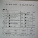 ﻿『창녕군수배 유소년 축구페스티벌』 A그룹 8강전 경기결과 (U-12) 이미지