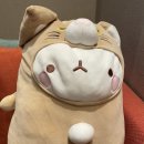 홈플러스익스프레스 학동역점 | 0102 주간일상