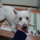 양천구청 이미지