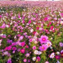 옥정1동 행정복지센터 이미지