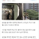 에스지휘트니스 이미지