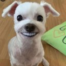 카페비일상 이미지