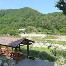 향기나라사랑이 이미지