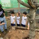 금빛샘어린이집 이미지