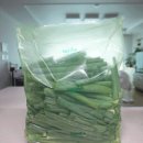 (주)한아름농산물 | 탑프레쉬 그린백 &amp; 그린박스로 신선함을 오래! 채소,과일 보관 꿀팁