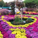 신세계소아청소년과의원 이미지